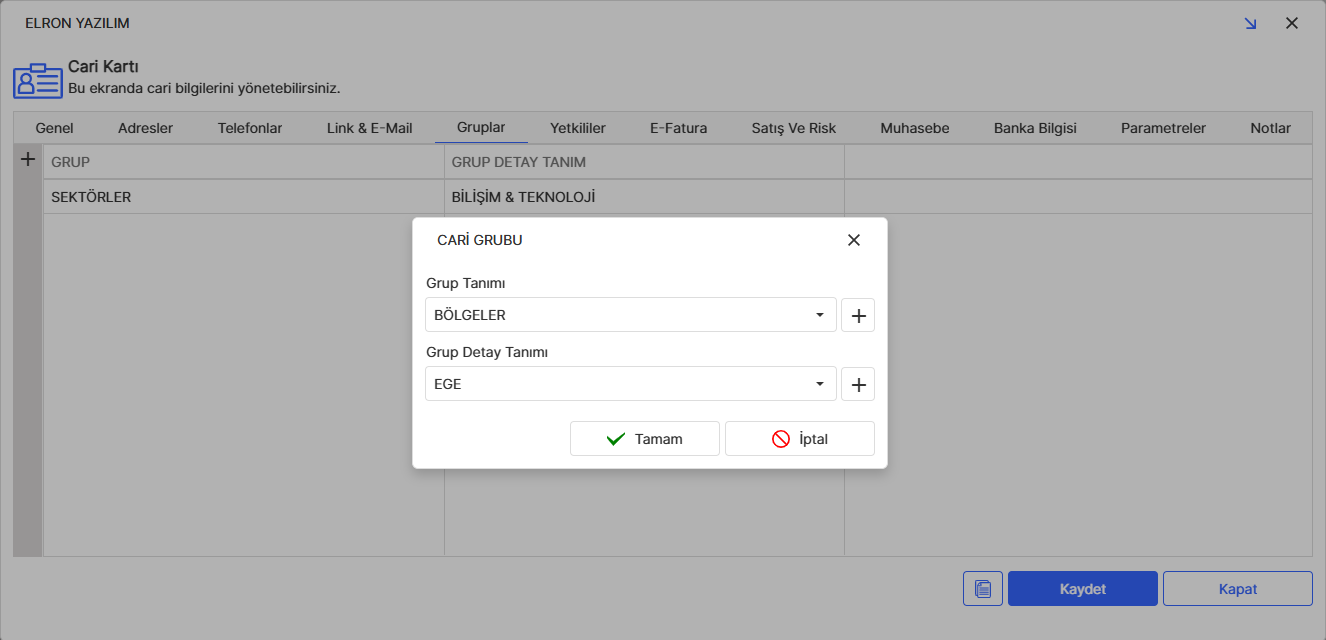 Cari Kartı Grup Sekmesi