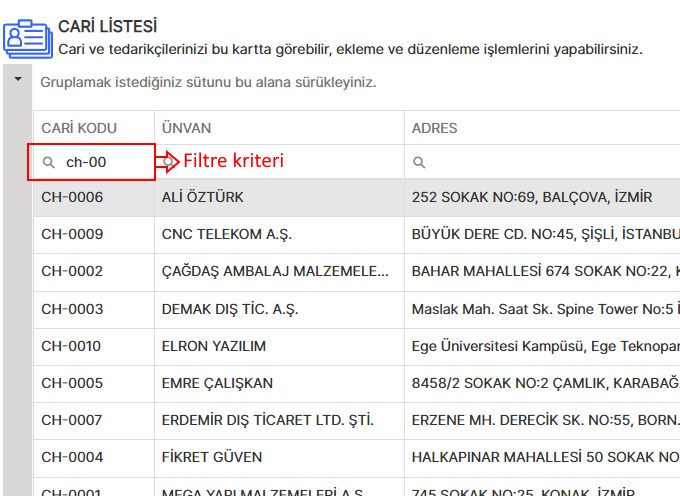 Filtrelenmiş Cari Listesi